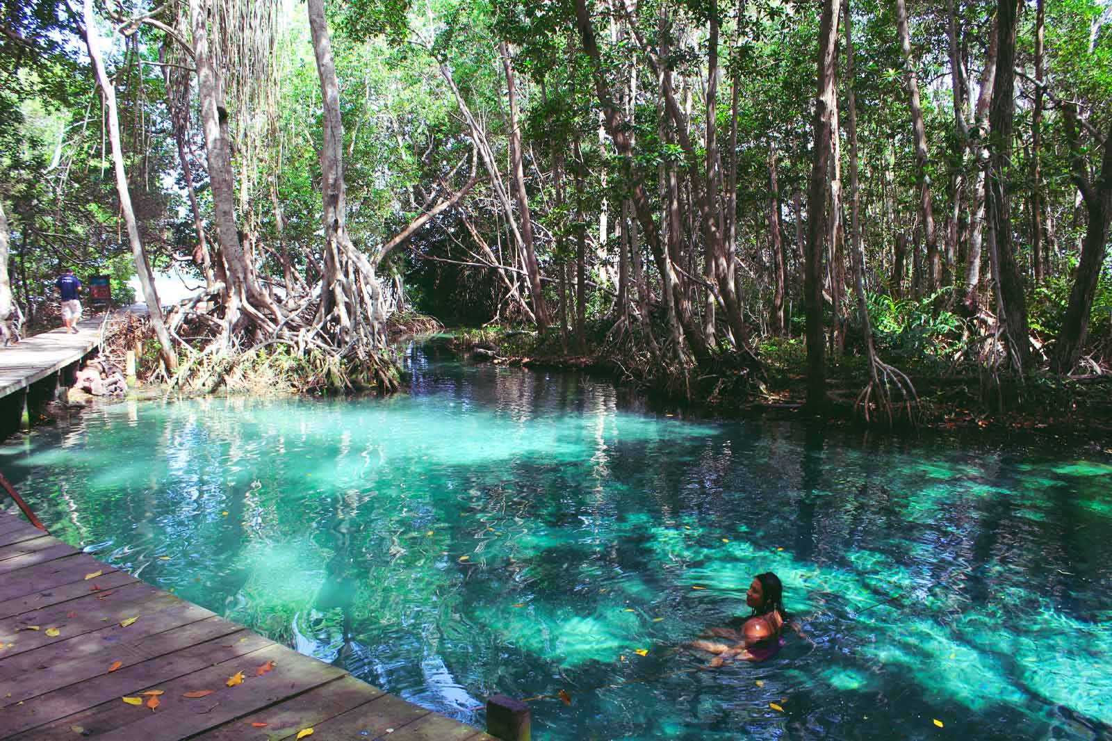 mexicofinder-travel-yucatan-celestun-flamingos-mangroves
